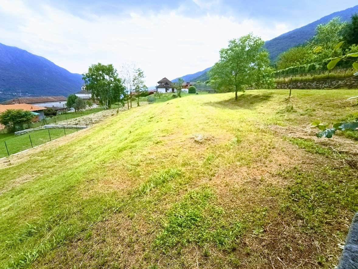 immagine annuncio 5 di 10