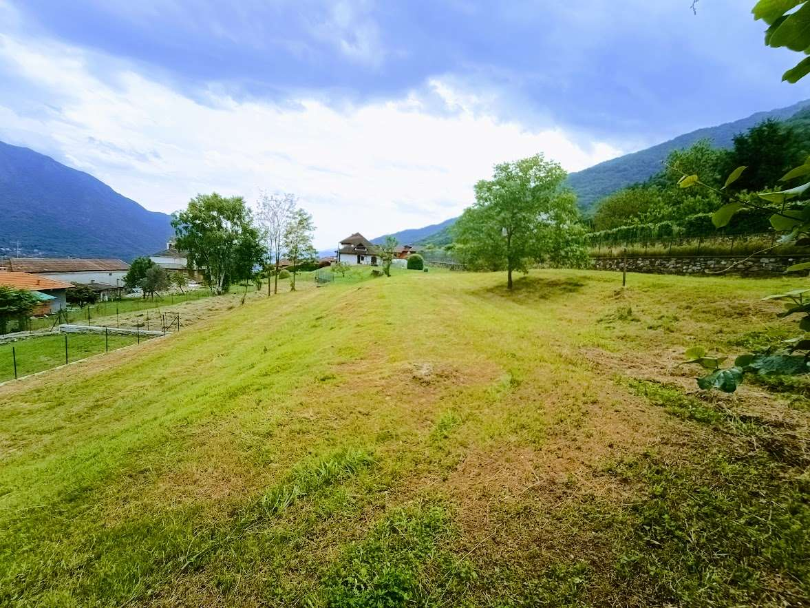 immagine annuncio 9 di 10