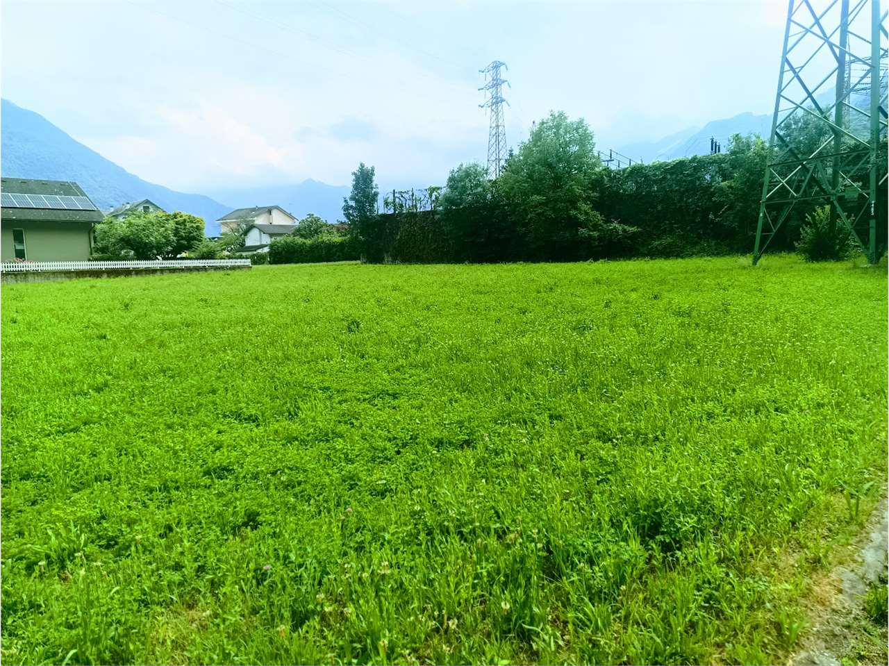 immagine annuncio 5 di 10