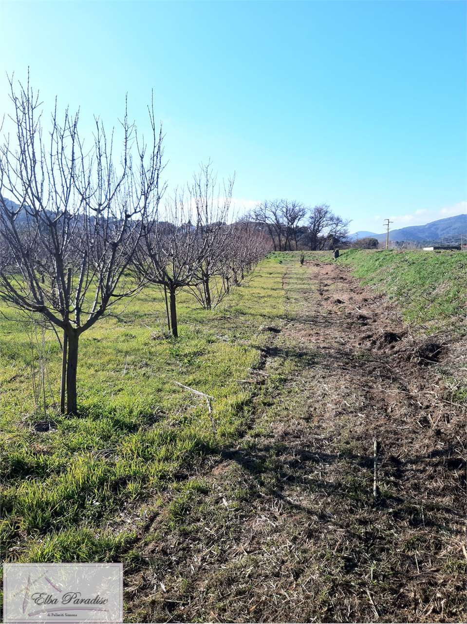immagine annuncio 4 di 7