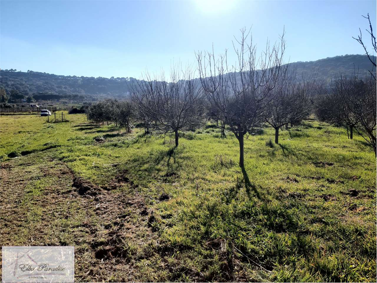 immagine annuncio 4 di 7