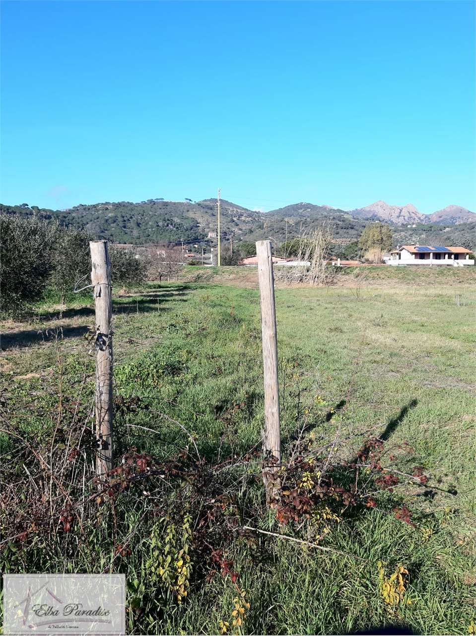 immagine annuncio 5 di 7