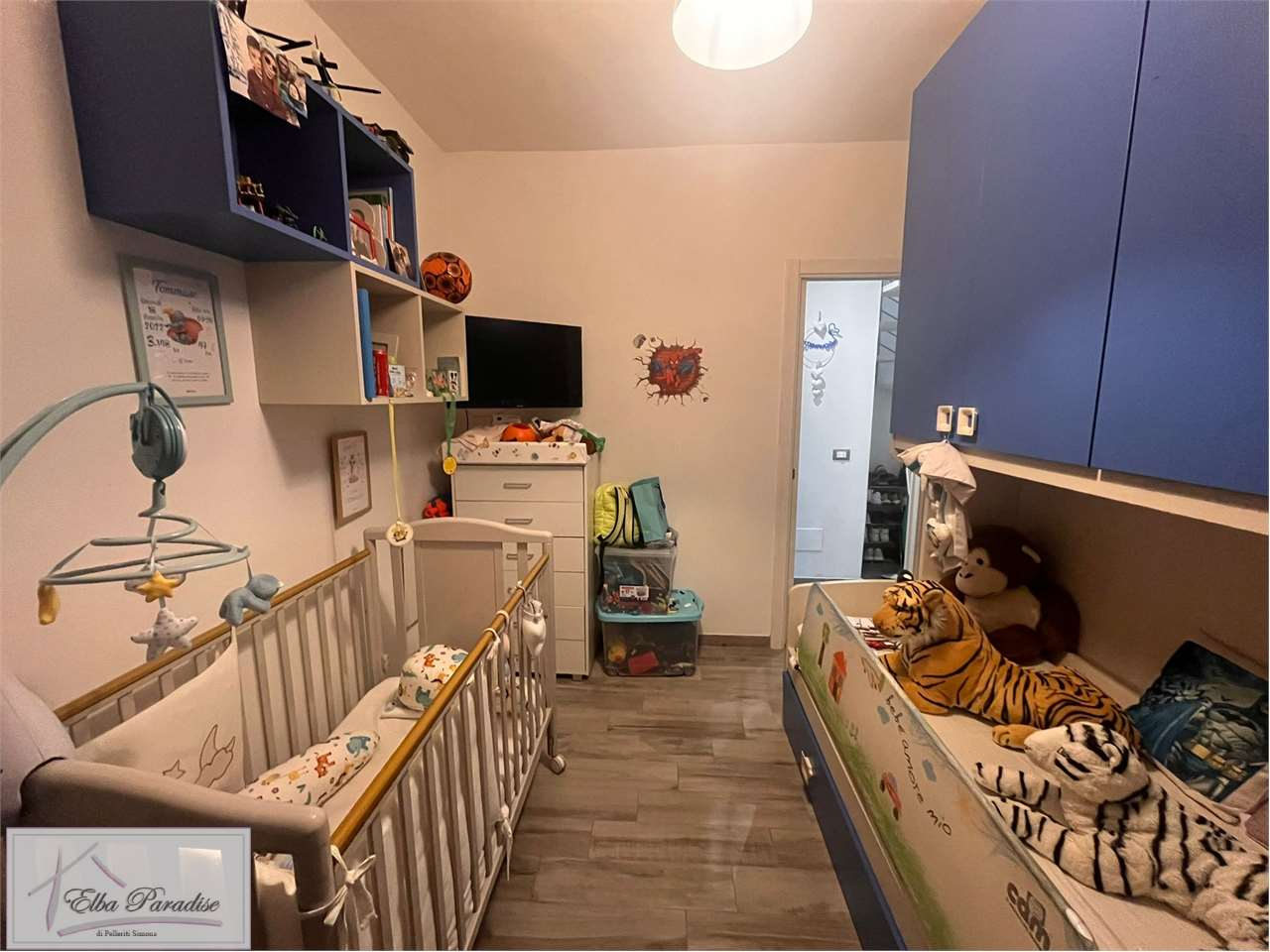 immagine annuncio 6 di 10