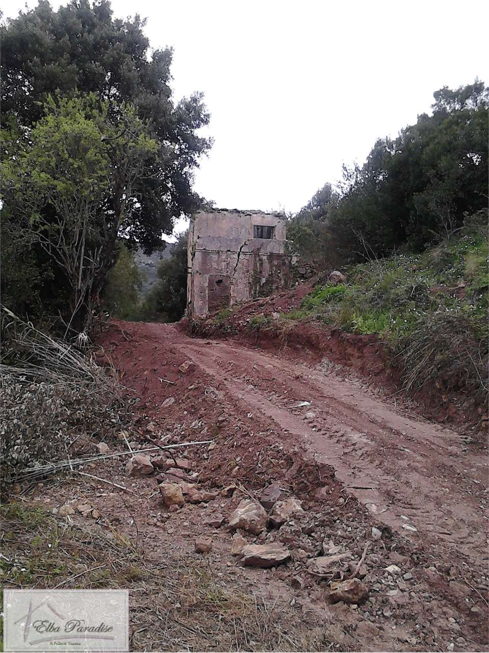 immagine annuncio 1 di 4