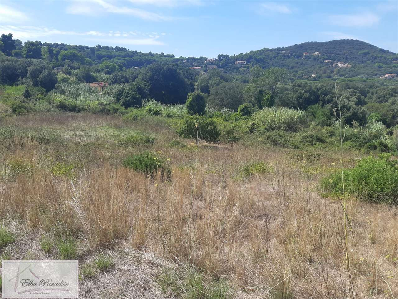 immagine annuncio 4 di 8