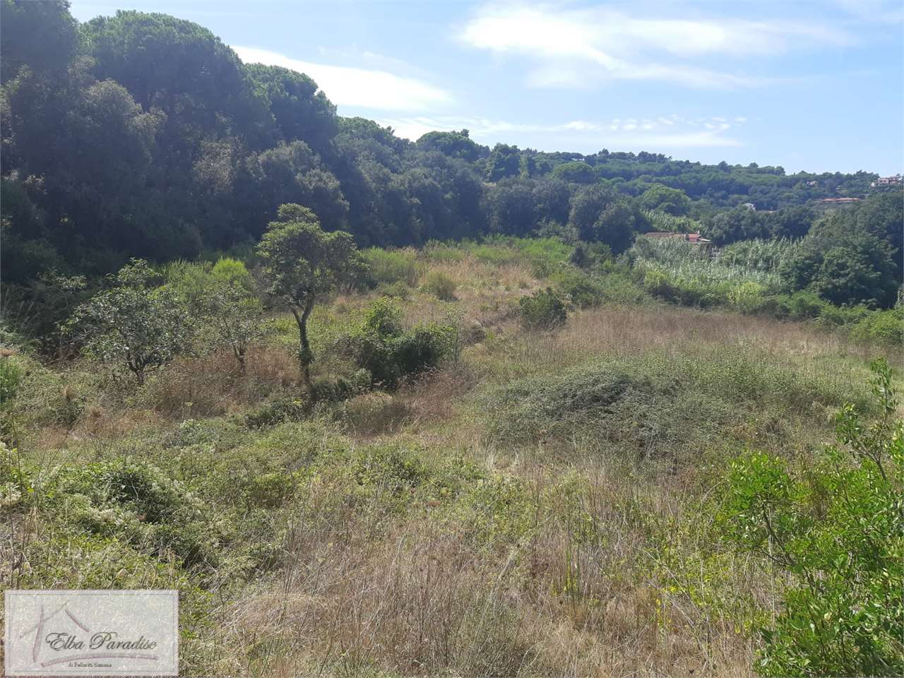 immagine annuncio 6 di 8