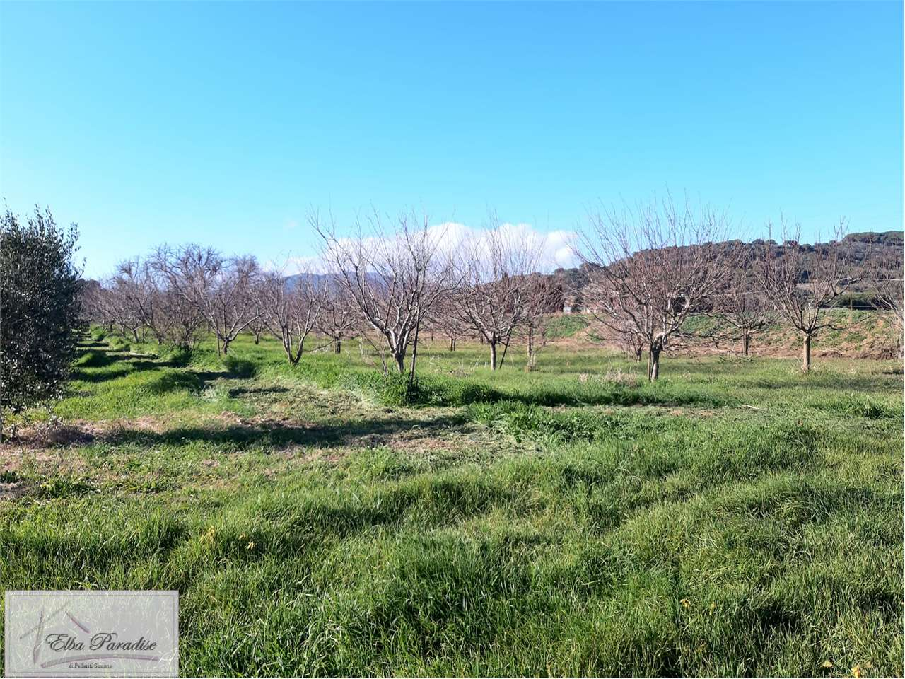 immagine annuncio 1 di 7