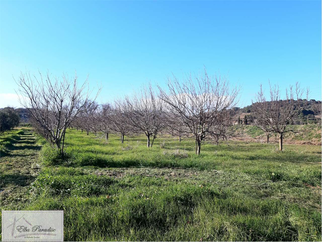 immagine annuncio 3 di 7