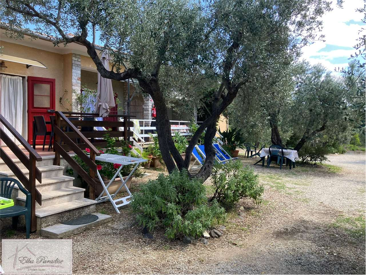 immagine annuncio 6 di 10