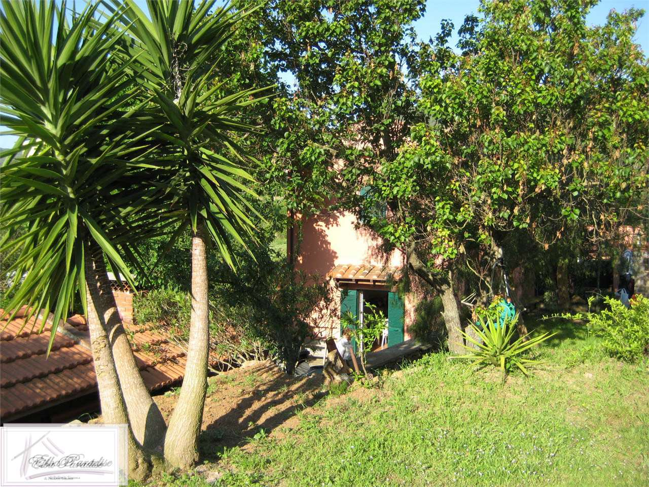 immagine annuncio 6 di 8