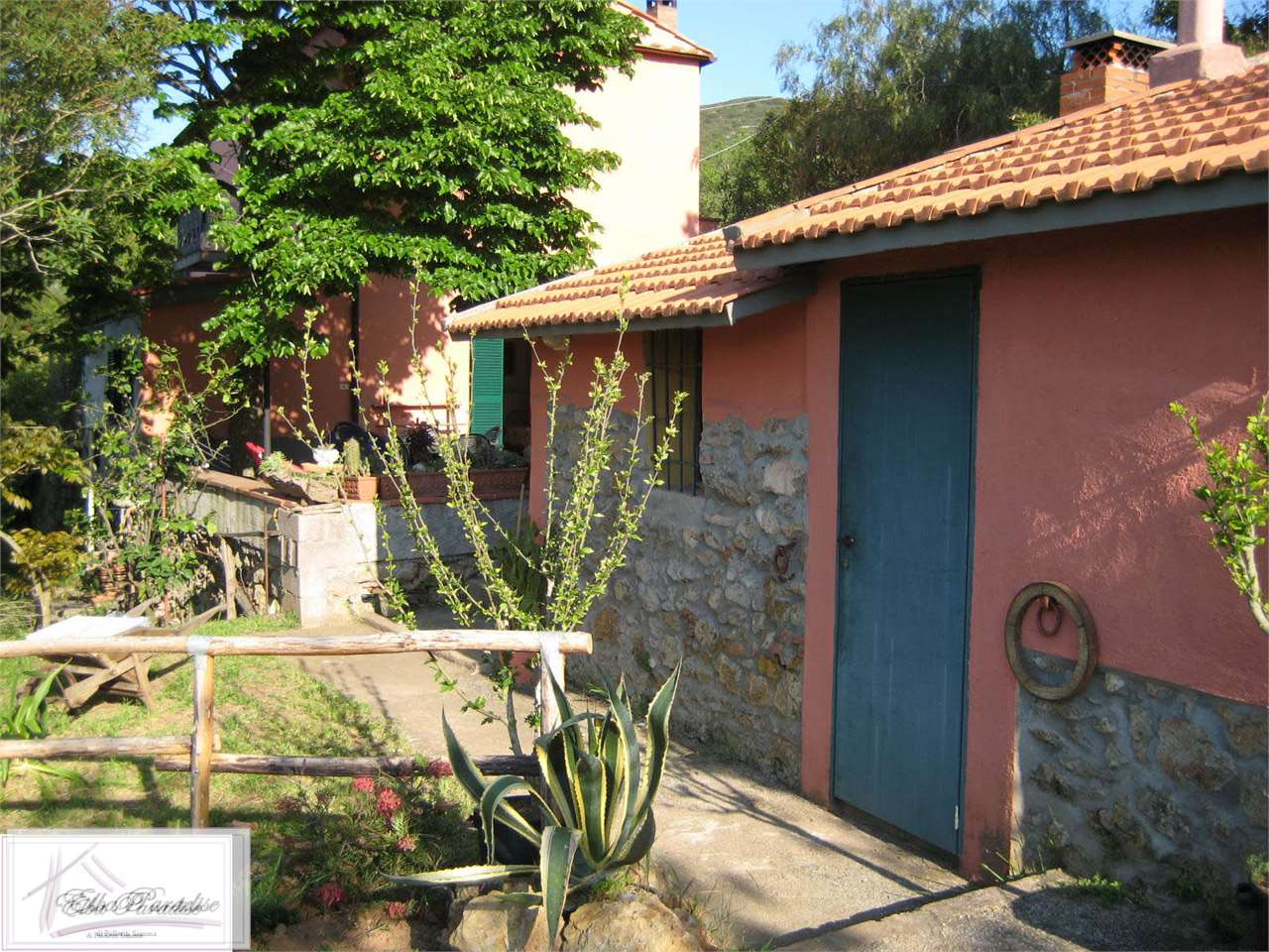 immagine annuncio 4 di 8