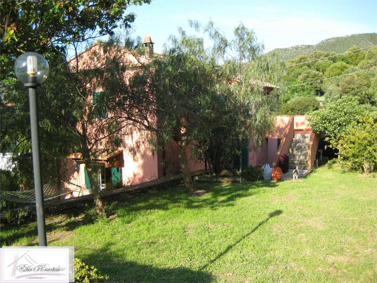 immagine annuncio 5 di 8