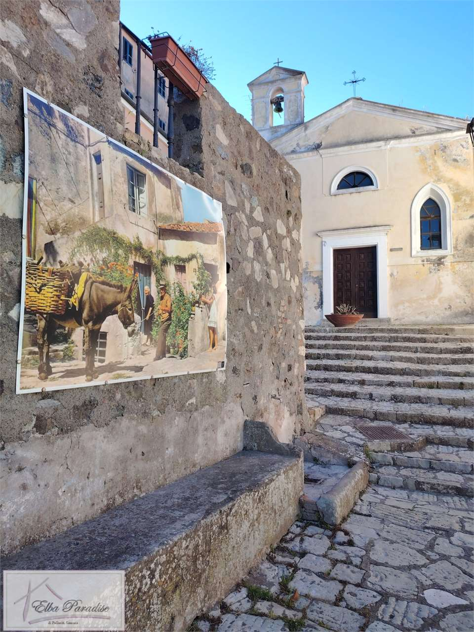 immagine annuncio 7 di 8