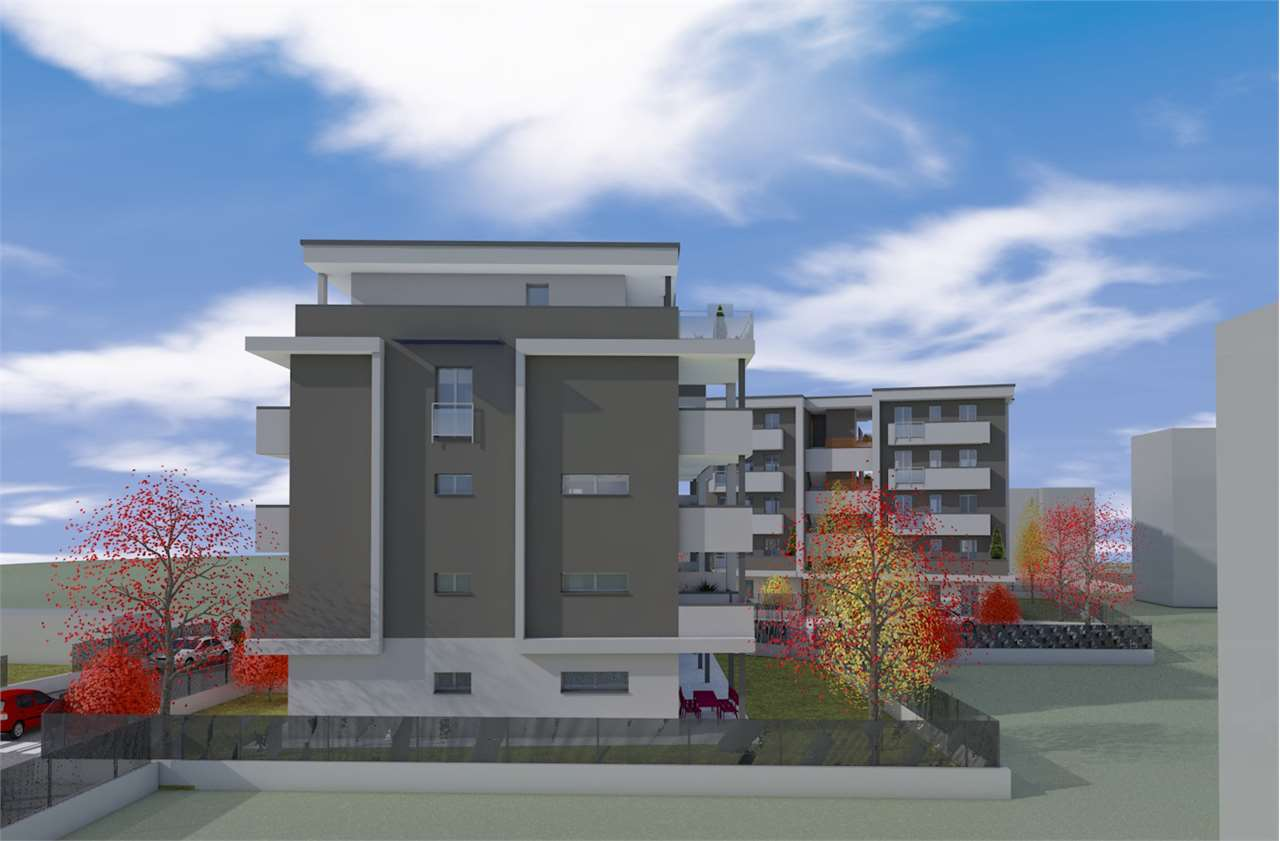 immagine annuncio 2 di 10