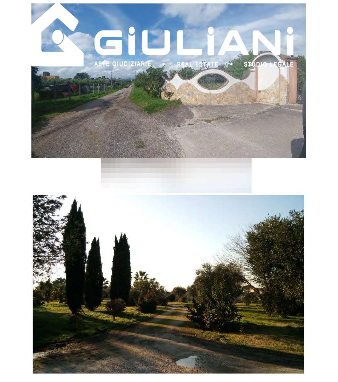 immagine annuncio 1 di 2