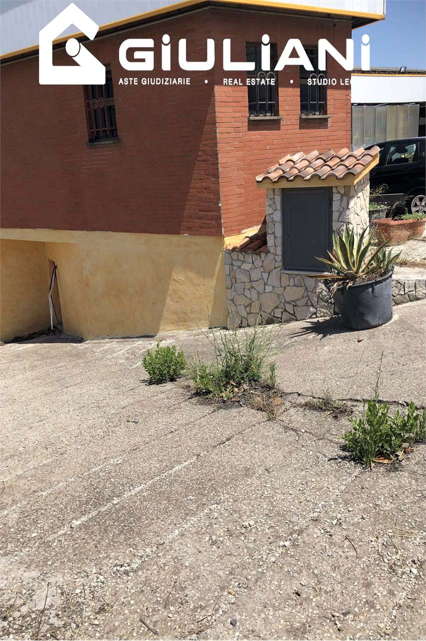 immagine annuncio 2 di 4