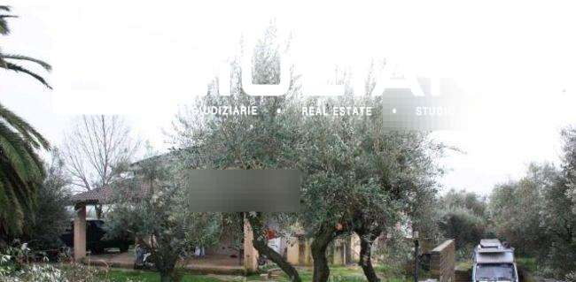 immagine annuncio 5 di 6