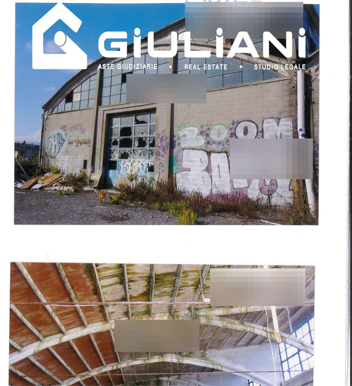 immagine annuncio 3 di 7