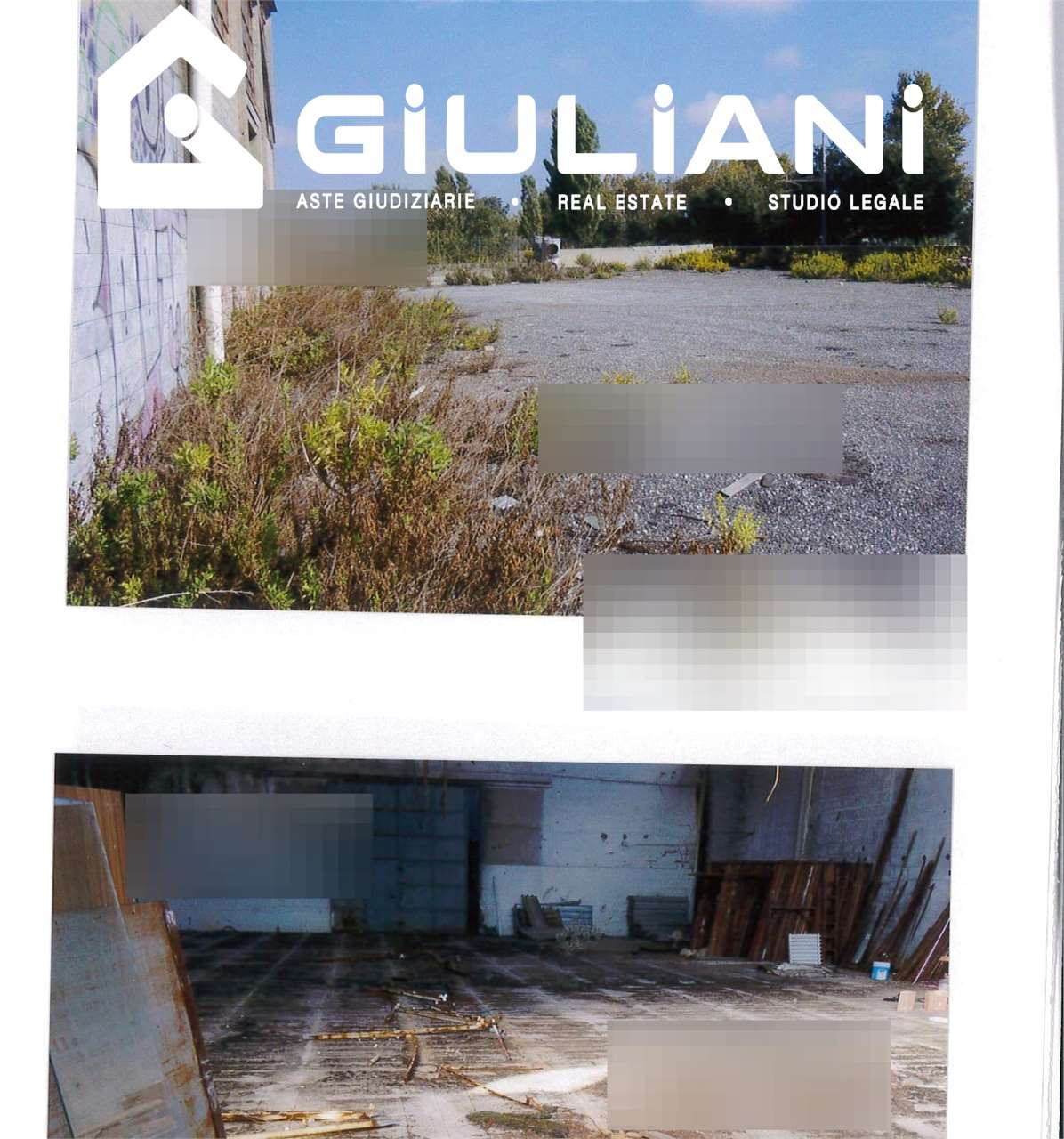 immagine annuncio 4 di 7