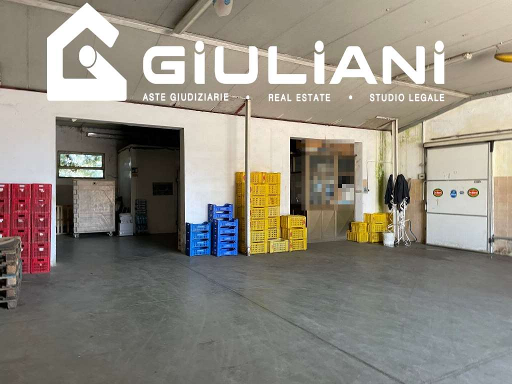 immagine annuncio 3 di 4