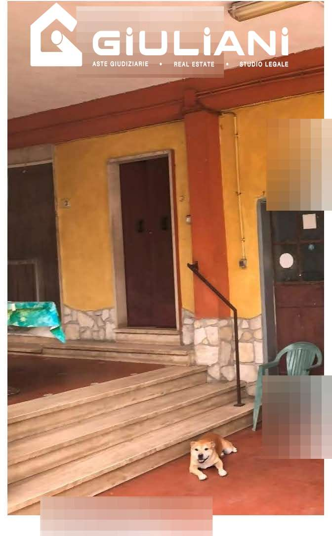 immagine annuncio 1 di 2