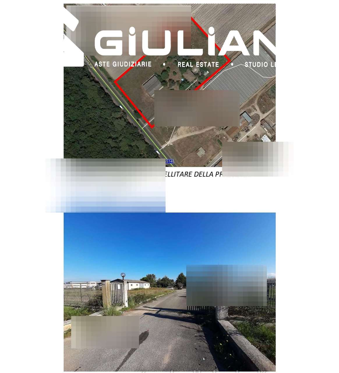 immagine annuncio 4 di 7