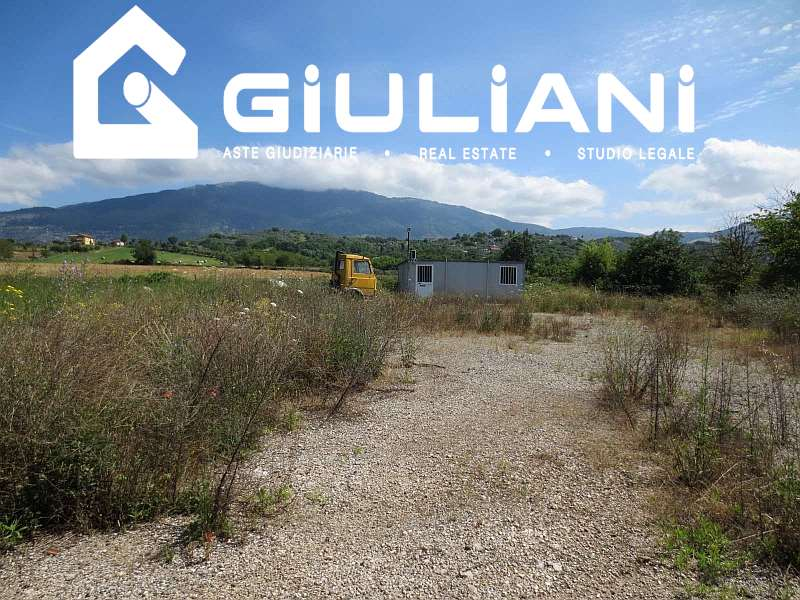 immagine annuncio 4 di 7