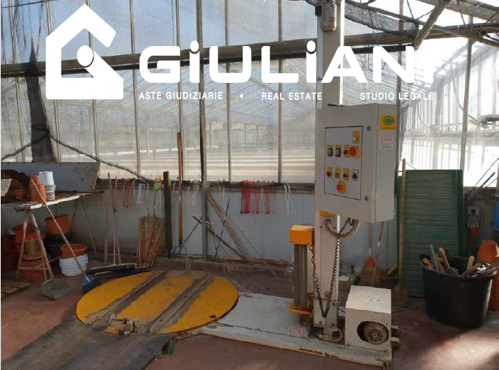 immagine annuncio 4 di 10