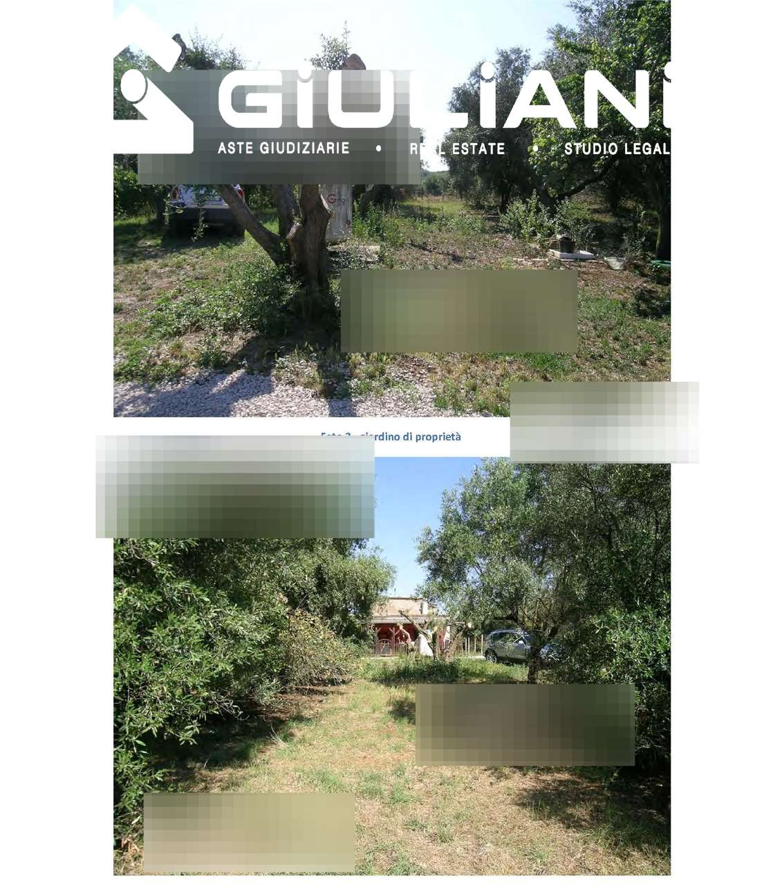 immagine annuncio 2 di 4