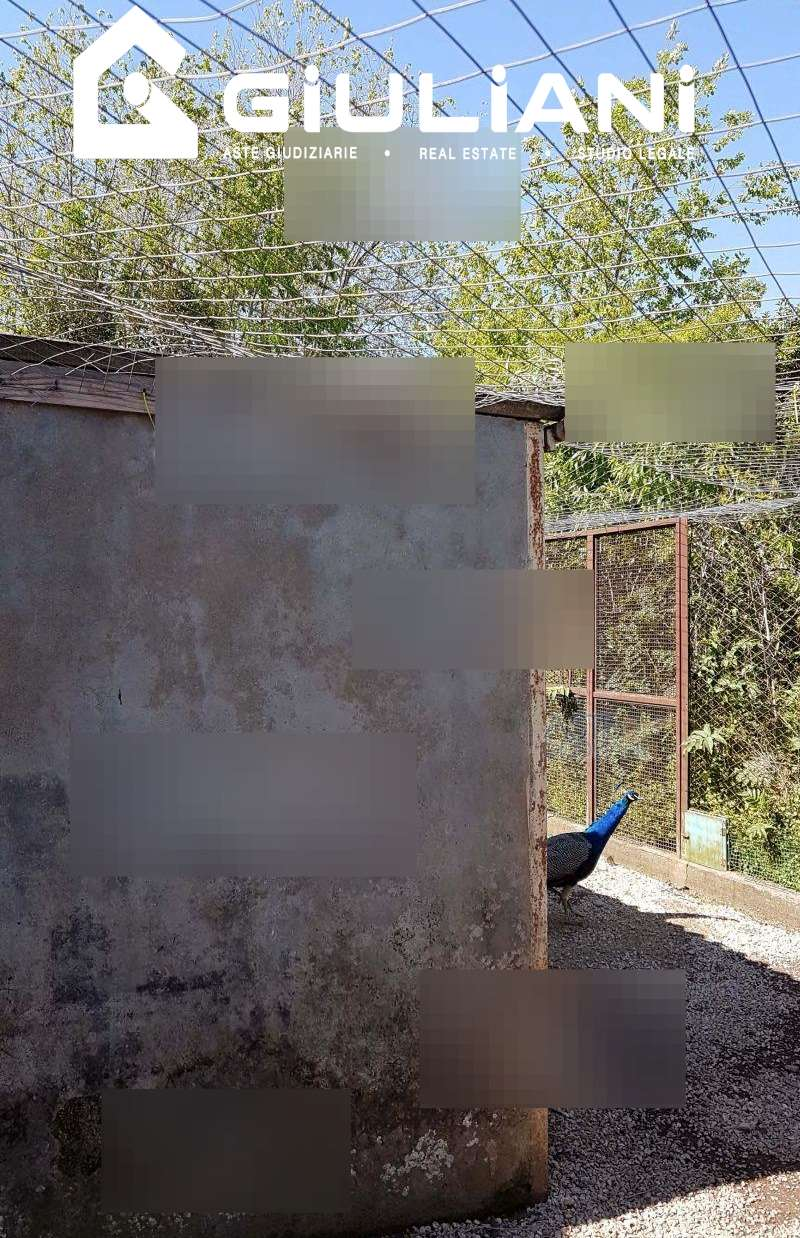 immagine annuncio 4 di 7