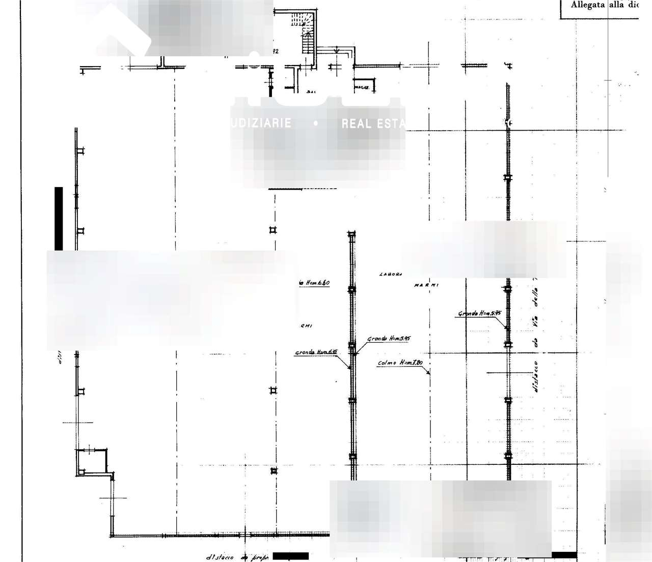 immagine annuncio 6 di 7