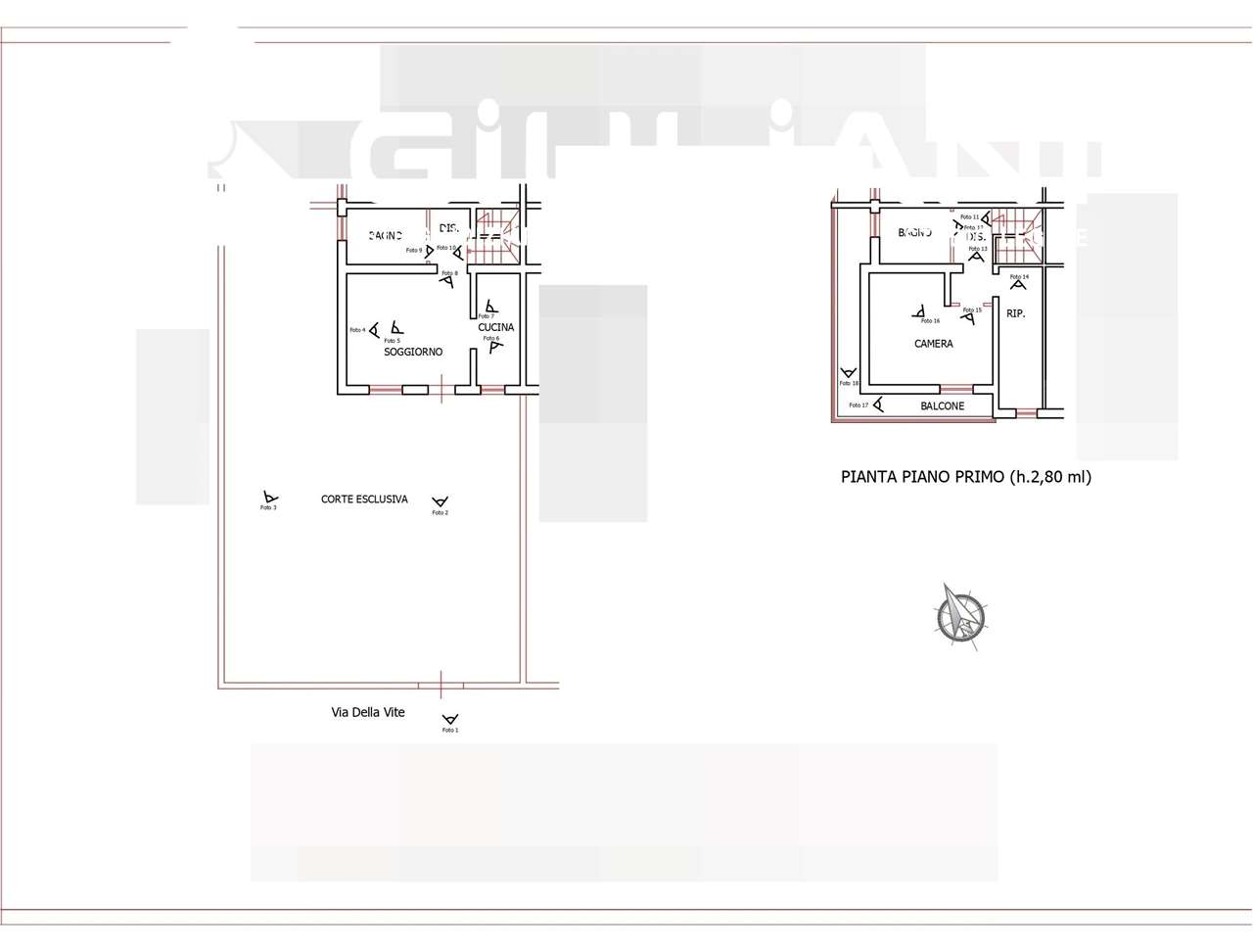 immagine annuncio 2 di 4