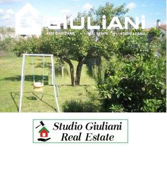 immagine annuncio 1 di 7