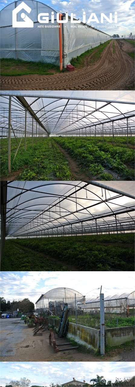 immagine annuncio 1 di 2