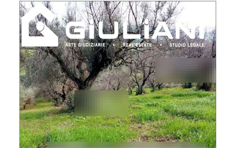 immagine annuncio 1 di 2