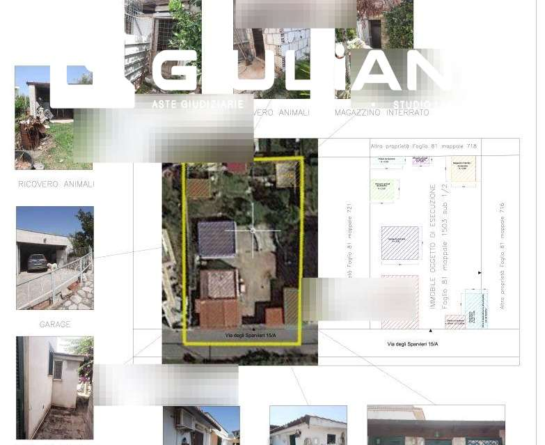 immagine annuncio 1 di 4