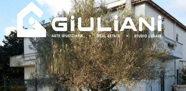 immagine annuncio 1 di 7