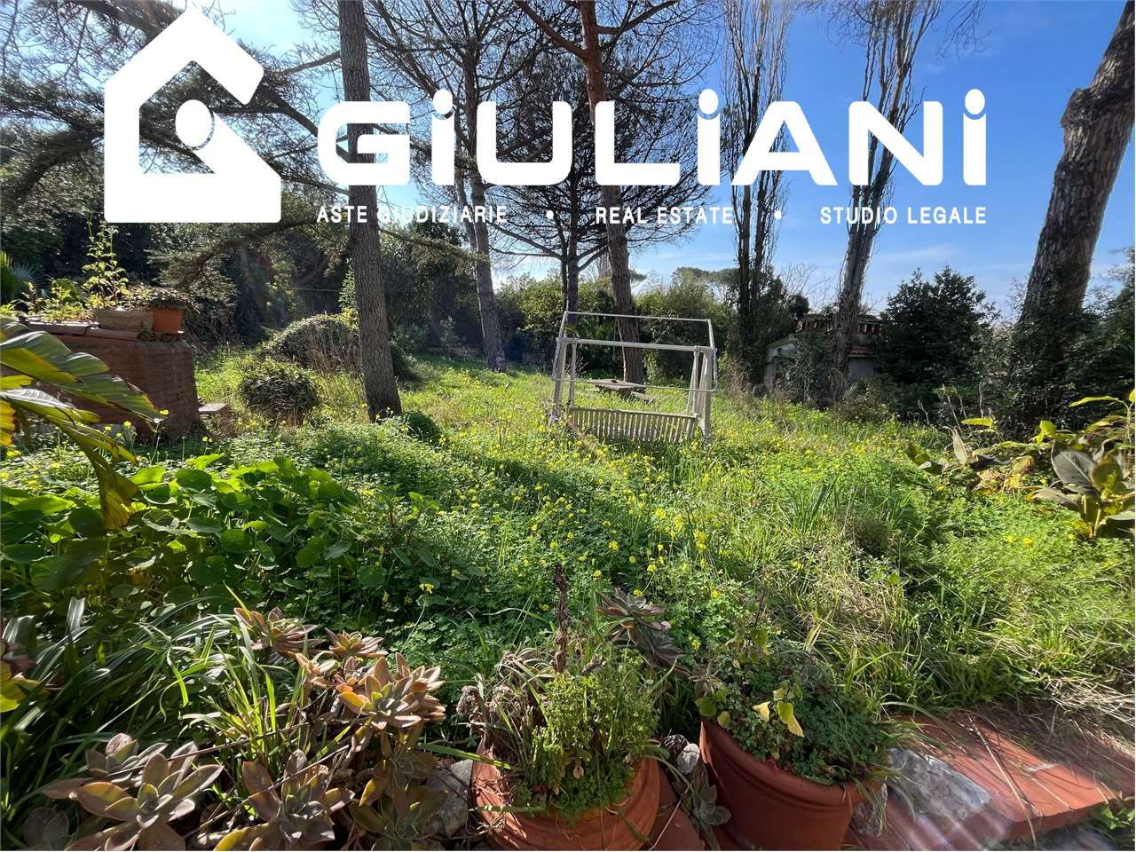 immagine annuncio 5 di 6