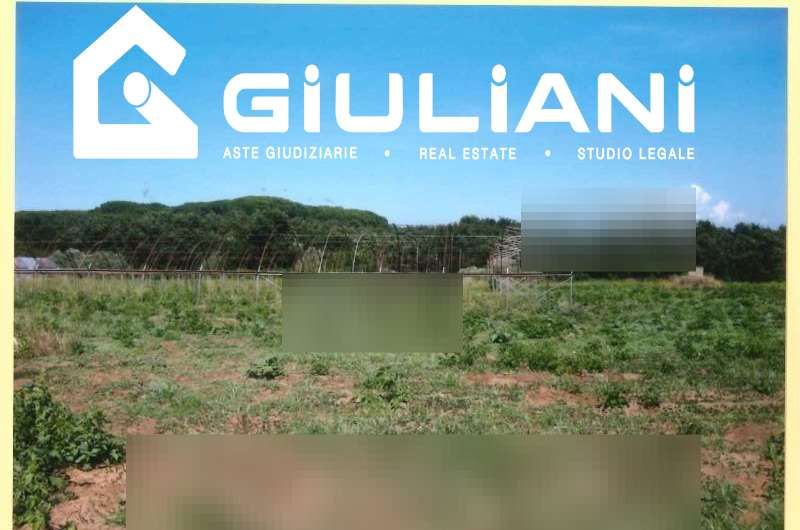 immagine annuncio 6 di 9