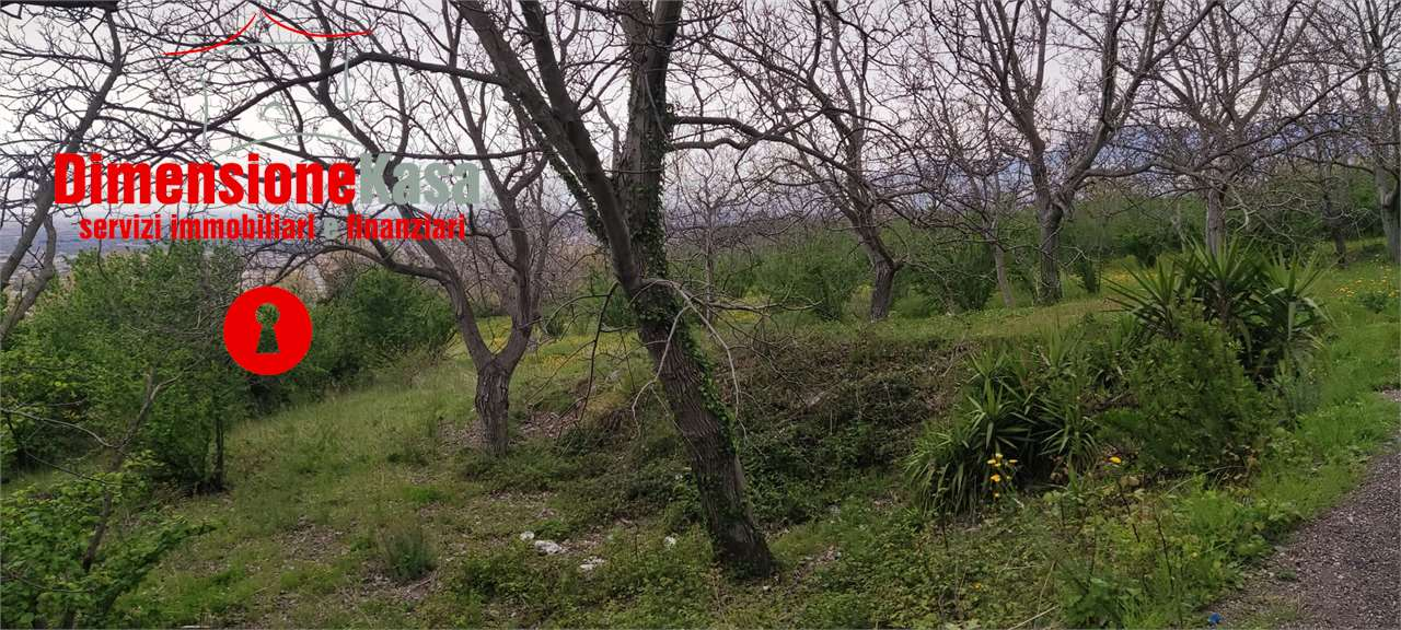 immagine annuncio 4 di 9