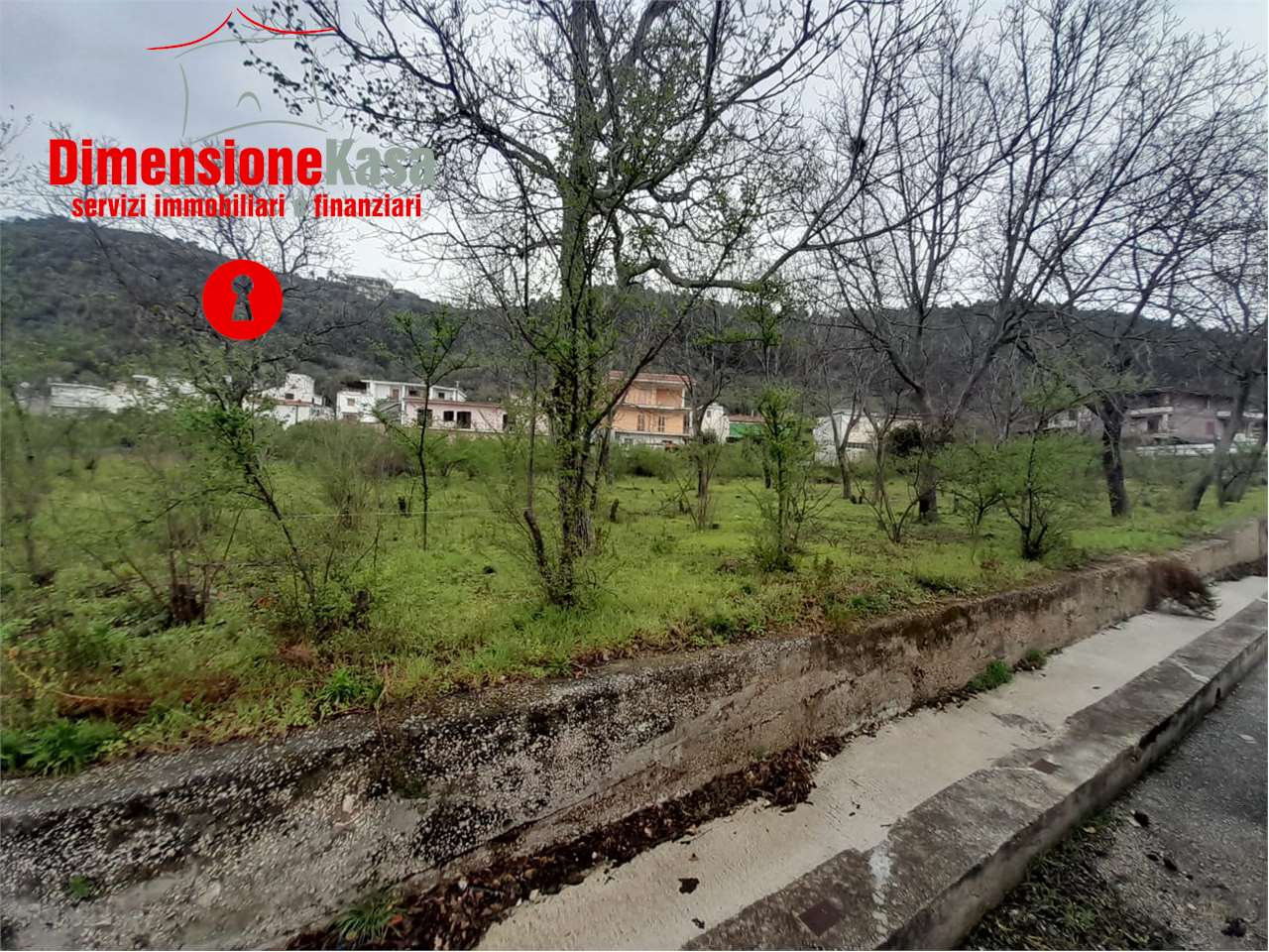immagine annuncio 1 di 3