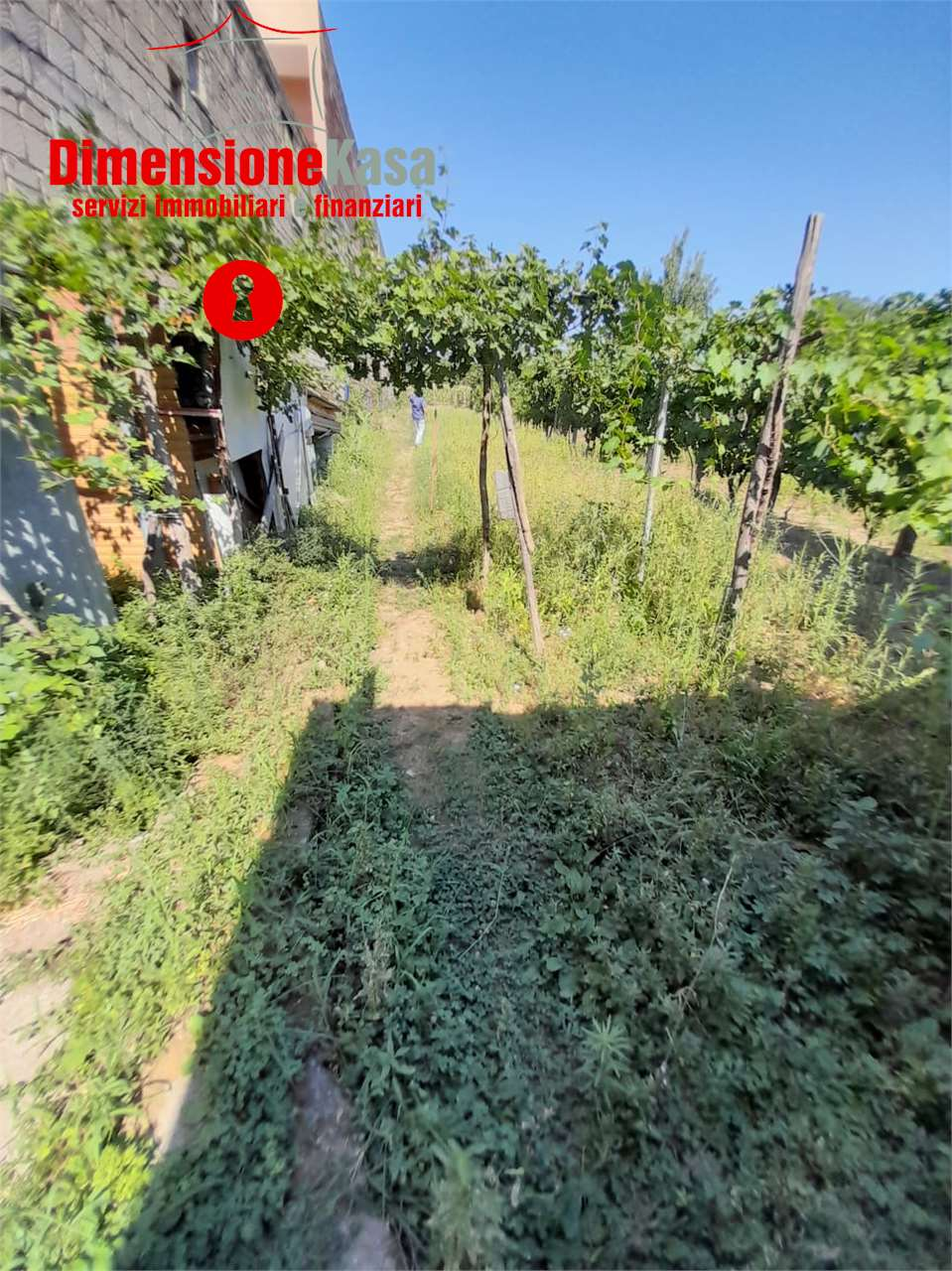 immagine annuncio 3 di 4