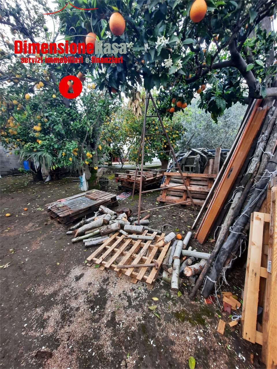 immagine annuncio 5 di 7