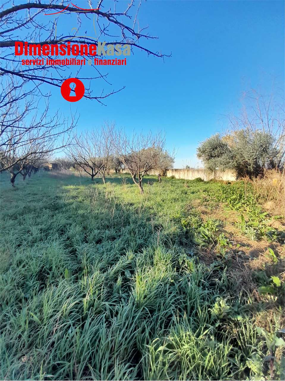 immagine annuncio 7 di 8