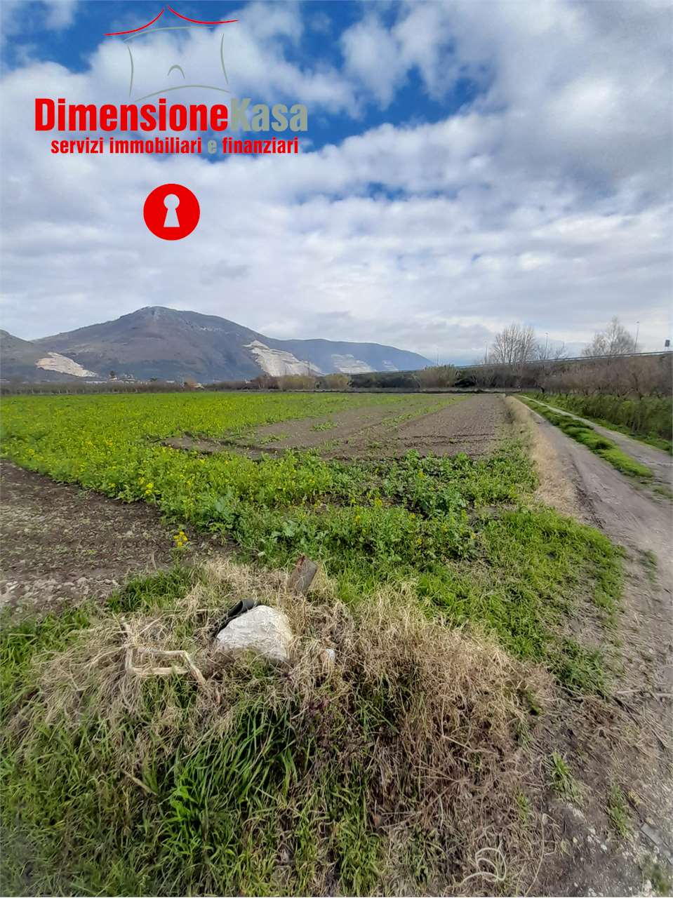 immagine annuncio 6 di 8