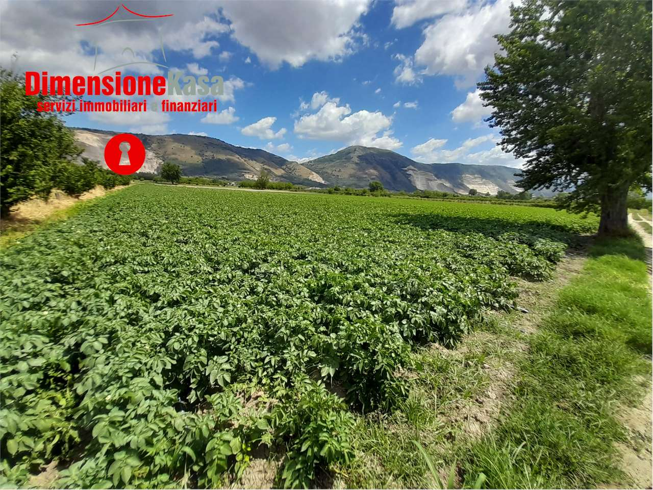 immagine annuncio 1 di 6