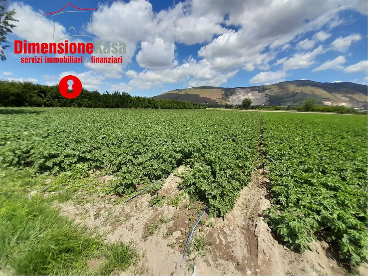 immagine annuncio 2 di 6