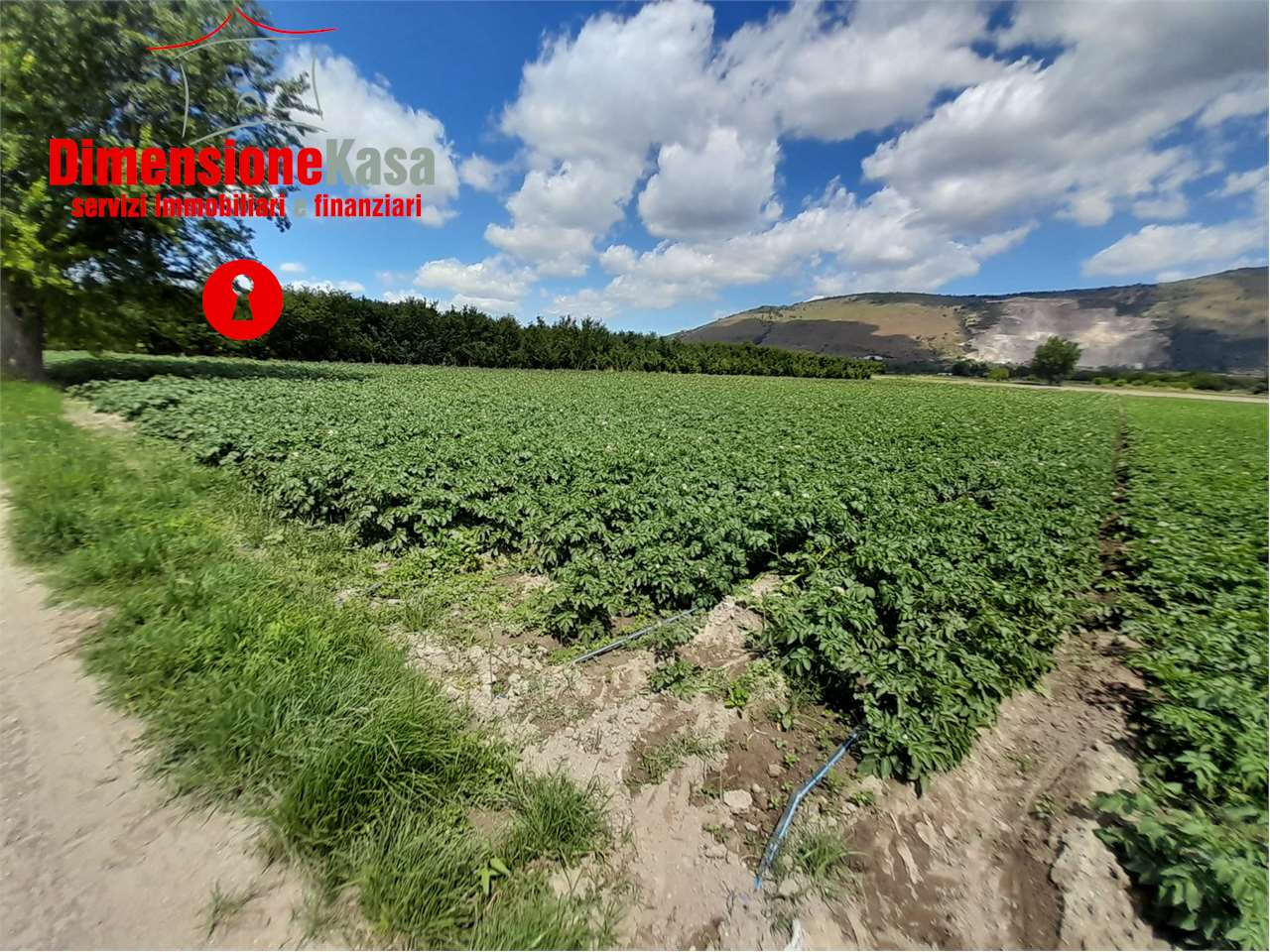 immagine annuncio 4 di 6