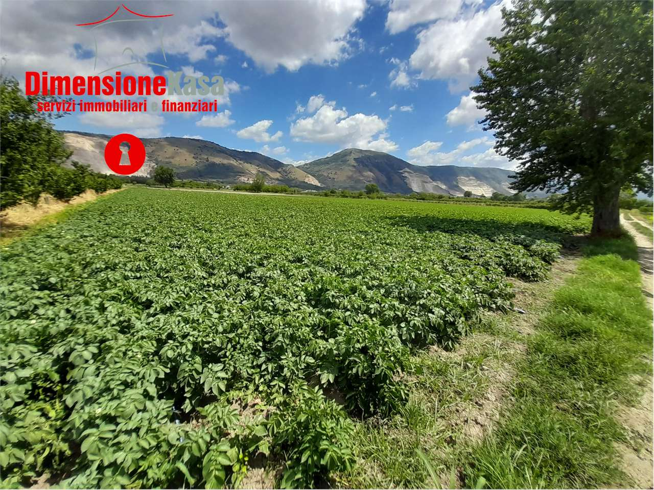 immagine annuncio 5 di 6