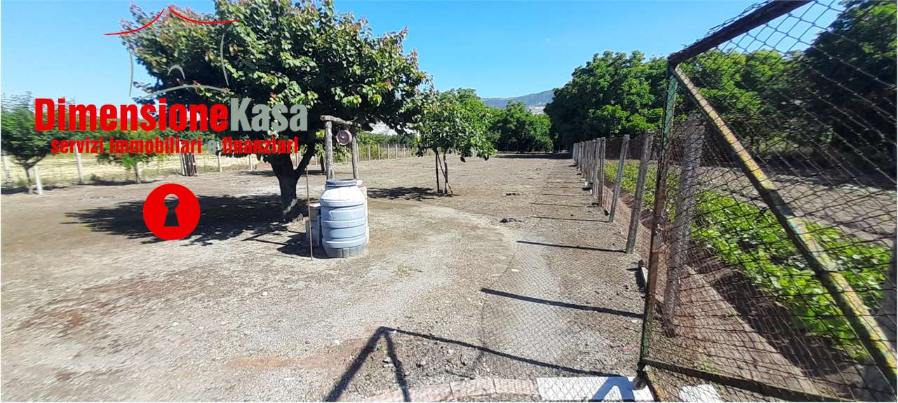 immagine annuncio 1 di 6